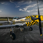 Polished P-51 Mustang with yellow checkered nose