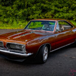 Brown classic muscle car parked by trees